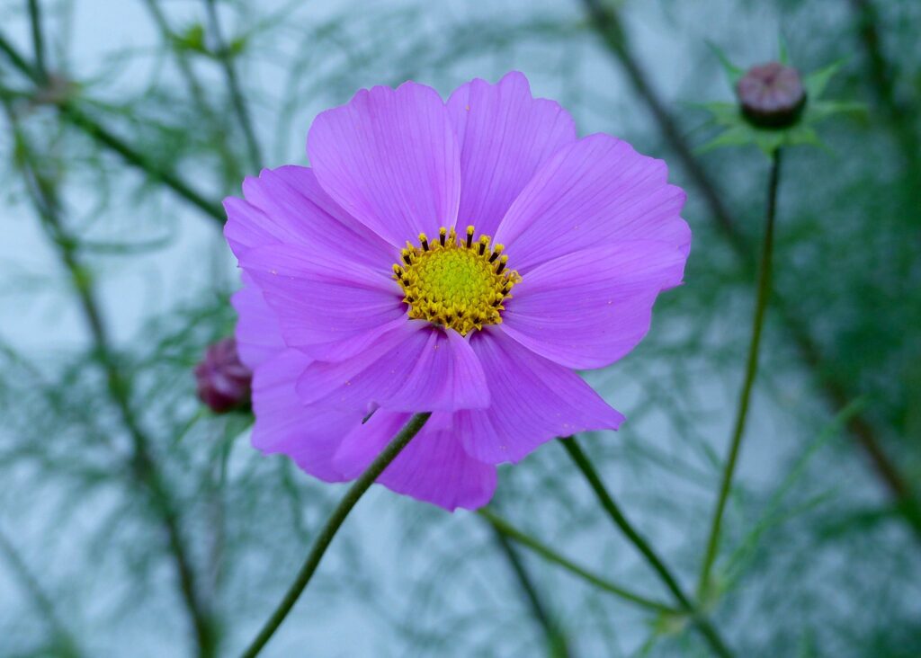 Garten sommerfit machen