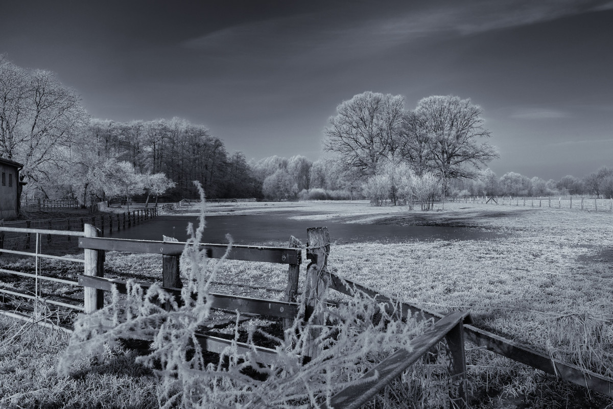 Beispielfoto, das mit NIK Silver Effects bearbeitet worden ist.