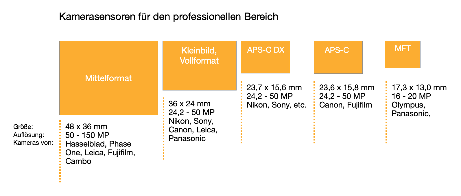 Vergleich von Sensorgrößen bei Digitalkameras